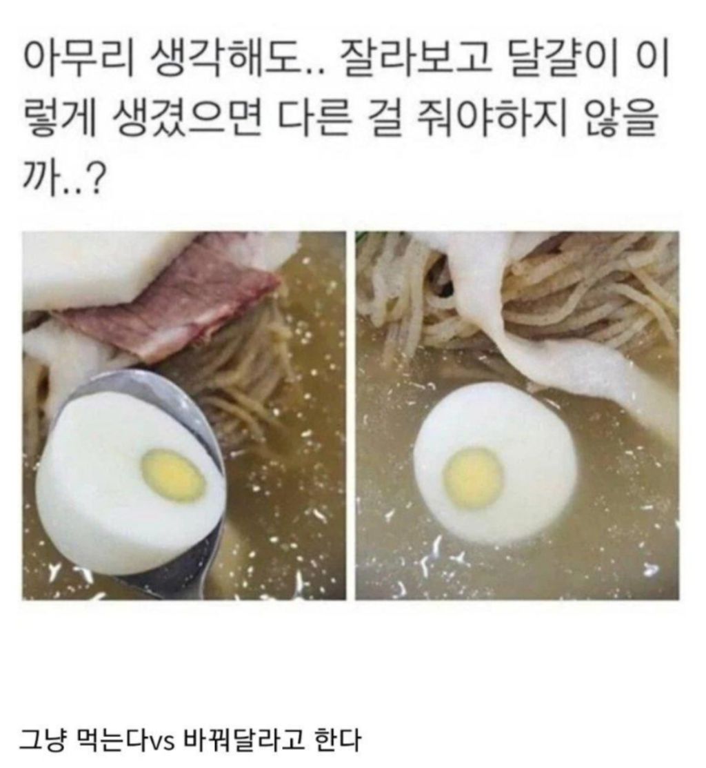 냉면 시켰는데 달걀이 이렇게 생겼다면? | 인스티즈