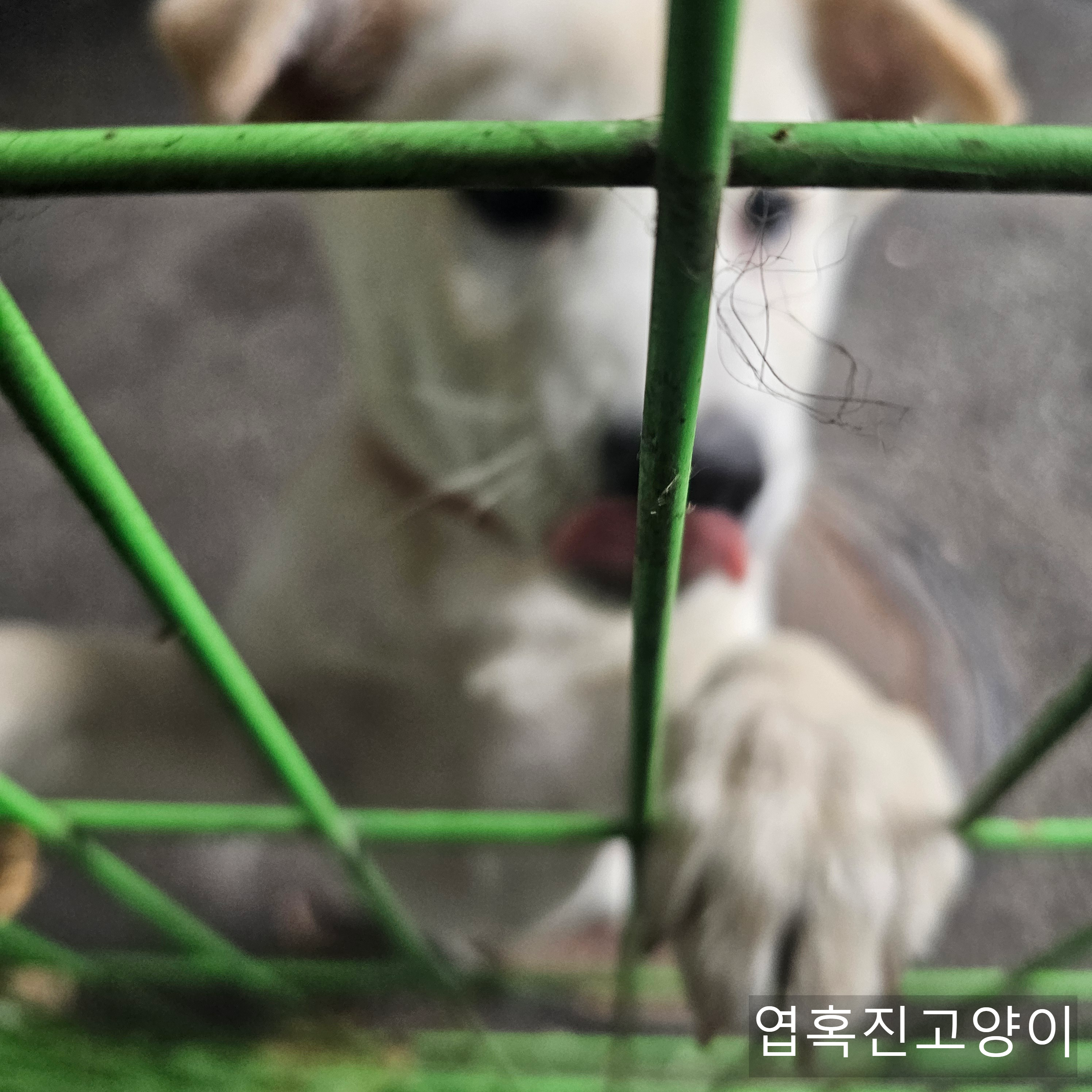 우리회사 복지자랑ㅎ | 인스티즈