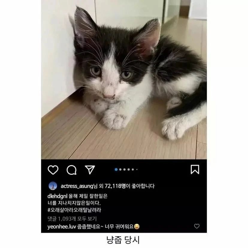 배우 이동휘가 2020년 했던 일 중 가장 잘한 일 | 인스티즈