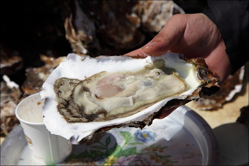 호불호 갈리는 한식 | 인스티즈