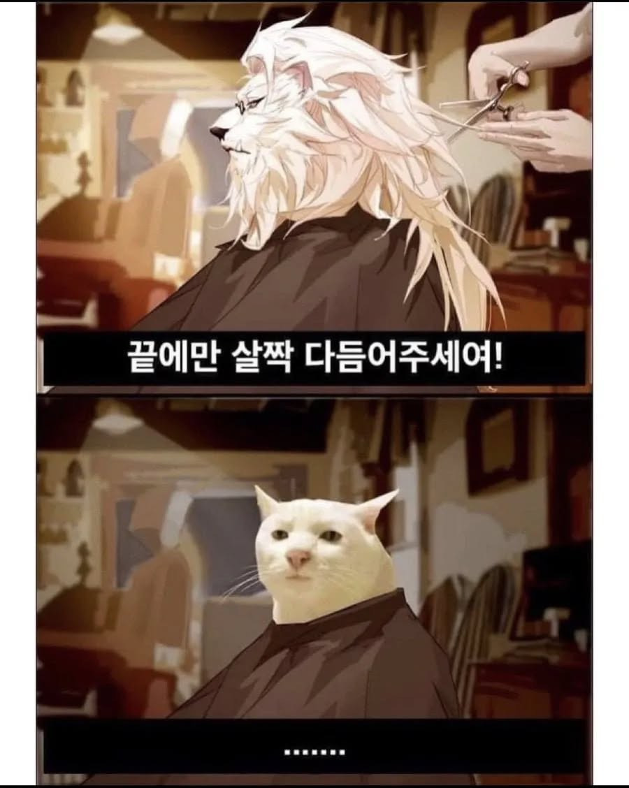 ??:조금만 다듬어 주세요.jpg | 인스티즈