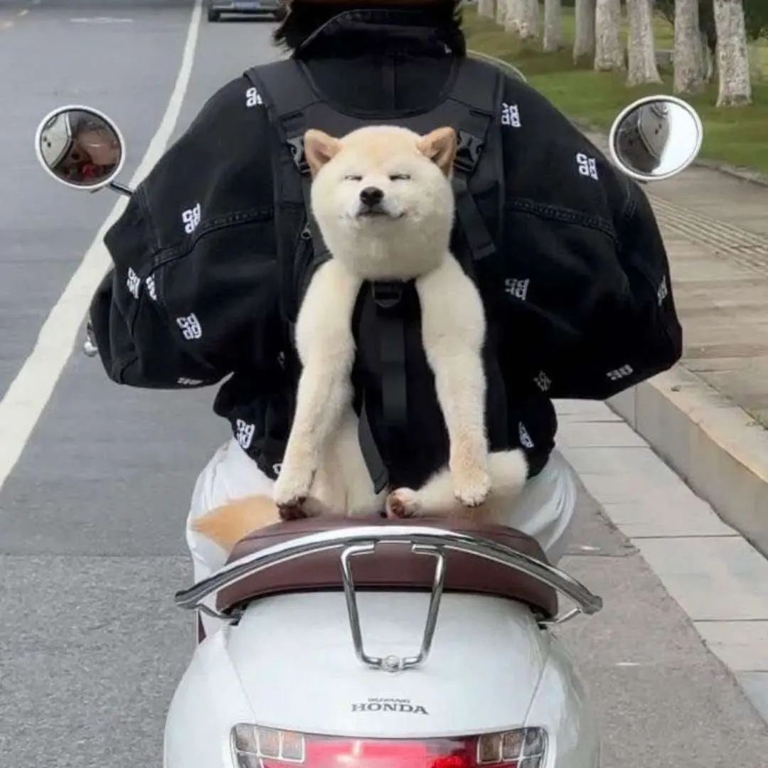 도로에서 만난 미소천사 | 인스티즈