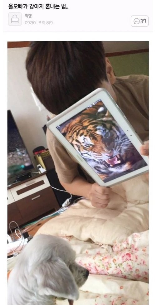 오빠가 강아지 혼내는 법.jpg | 인스티즈