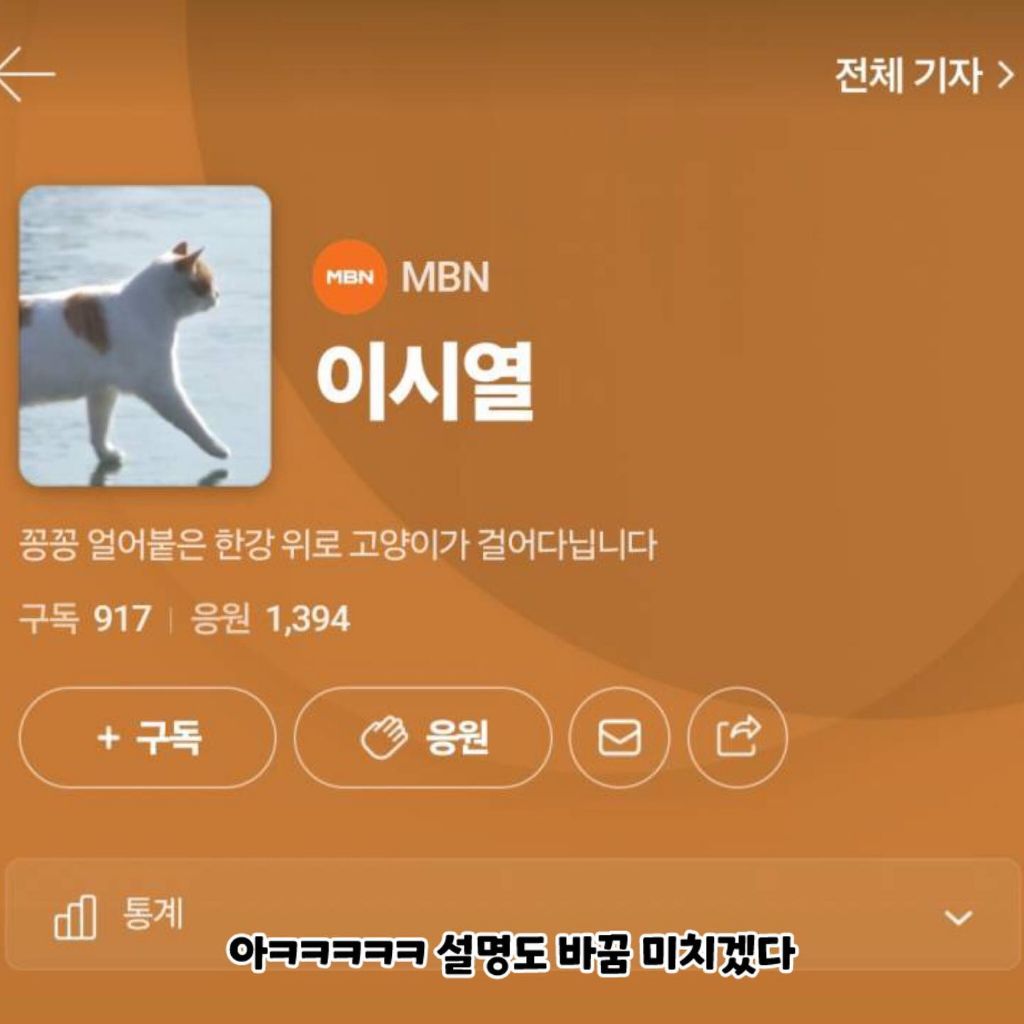꽁쏭 얼어붙은 한강위로 고양이가 걸어다닙니다 챌린지 원본 기자 근황 | 인스티즈