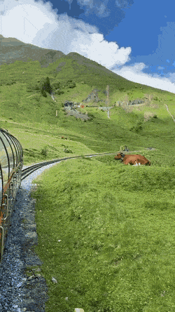 ⛰☀️스위스의 여름.gif | 인스티즈