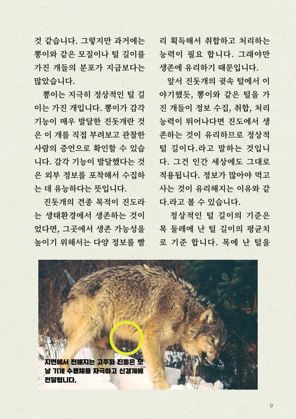천재 진돗개의 '털' 감각 | 인스티즈