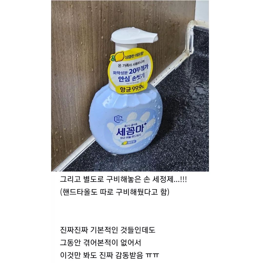 모든 가수들의 귀감이 되어야 하는 임영웅 콘서트 | 인스티즈