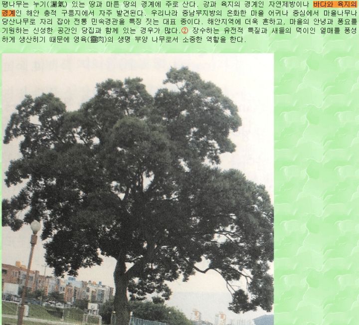 우영우ㅅㅍ) 이번화 팽나무가 상징적인 이유 | 인스티즈