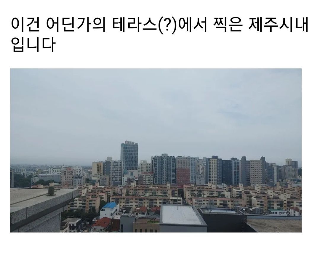 지리 덕후의 지리는 눈썰미.jpg | 인스티즈