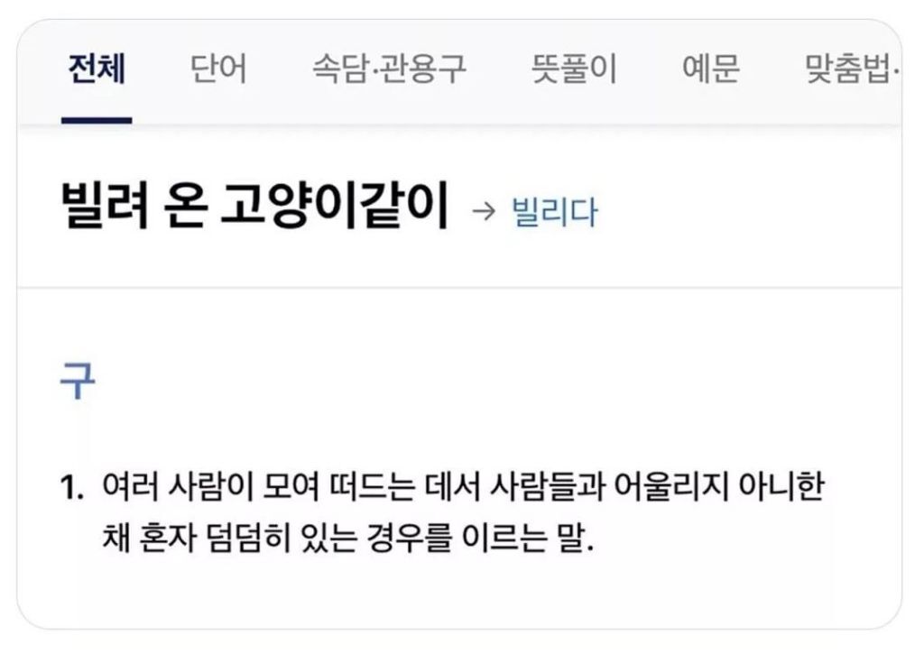 귀여운 고양이 속담 | 인스티즈