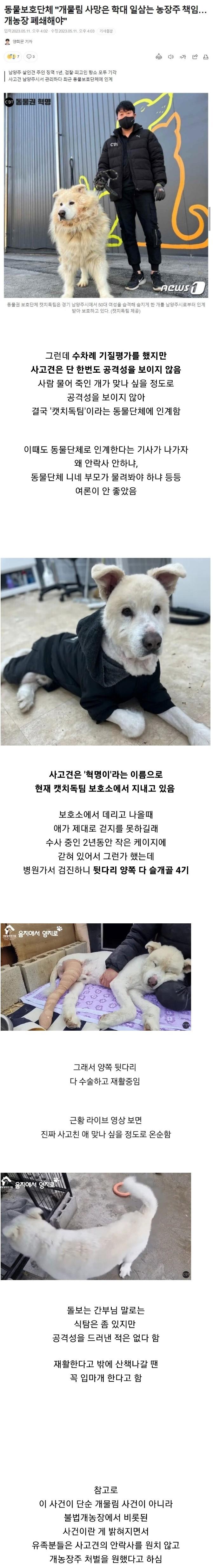 2년전 사람물어 죽인개 근황 | 인스티즈