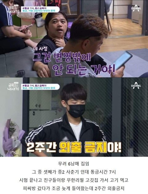 저번주 금쪽이 레전드 | 인스티즈