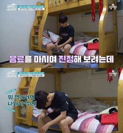 저번주 금쪽이 레전드 | 인스티즈