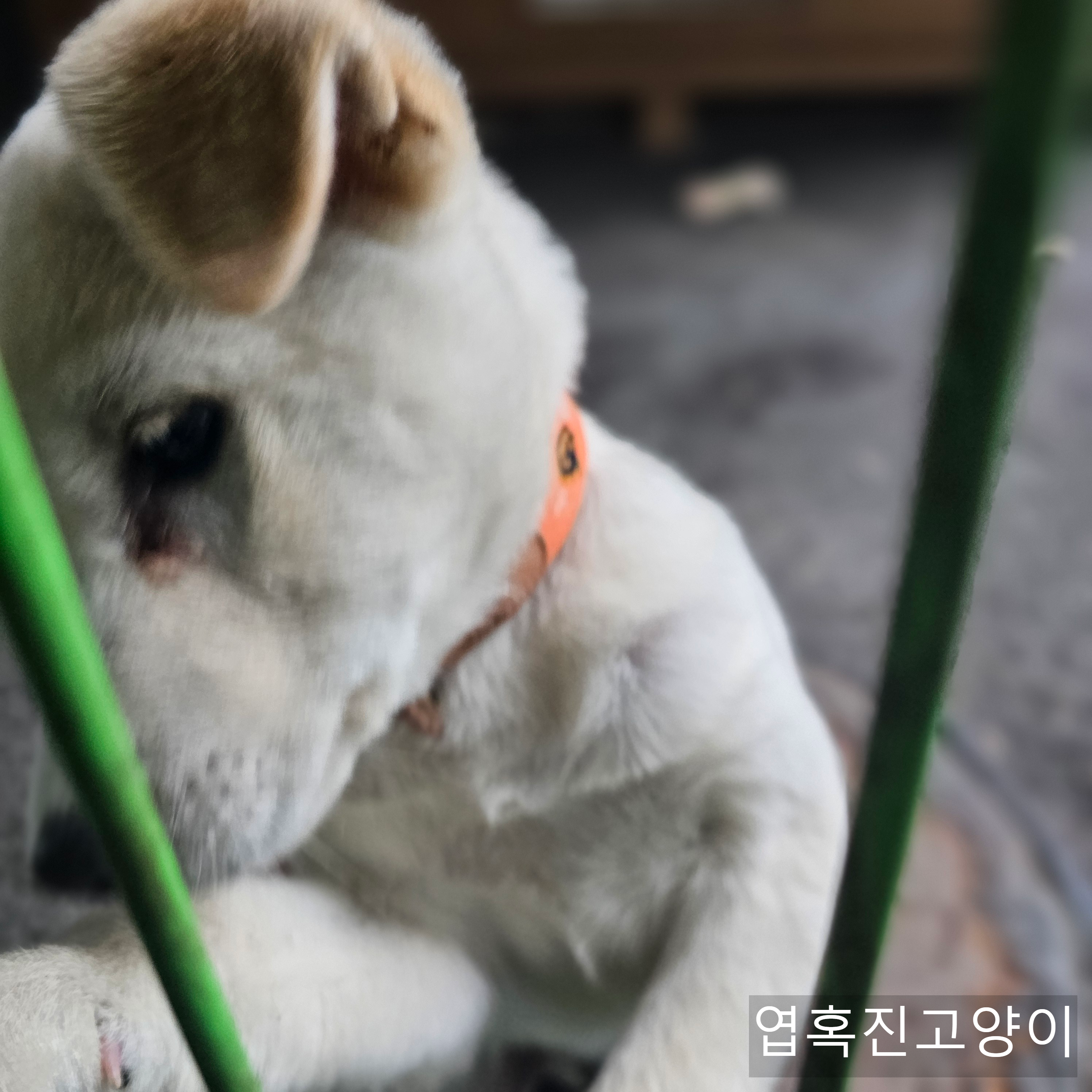 우리회사 복지자랑ㅎ | 인스티즈