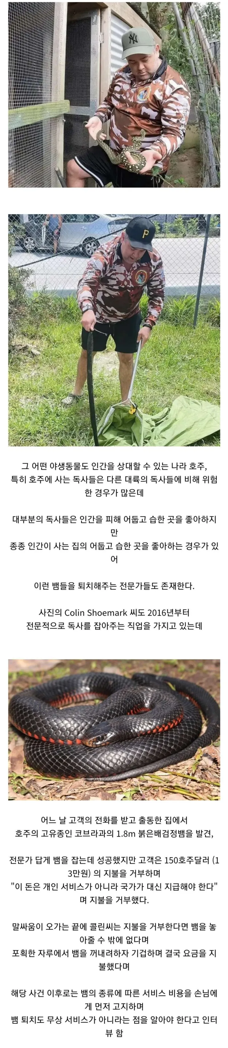 호주의 절대 먹튀 불가 서비스 | 인스티즈