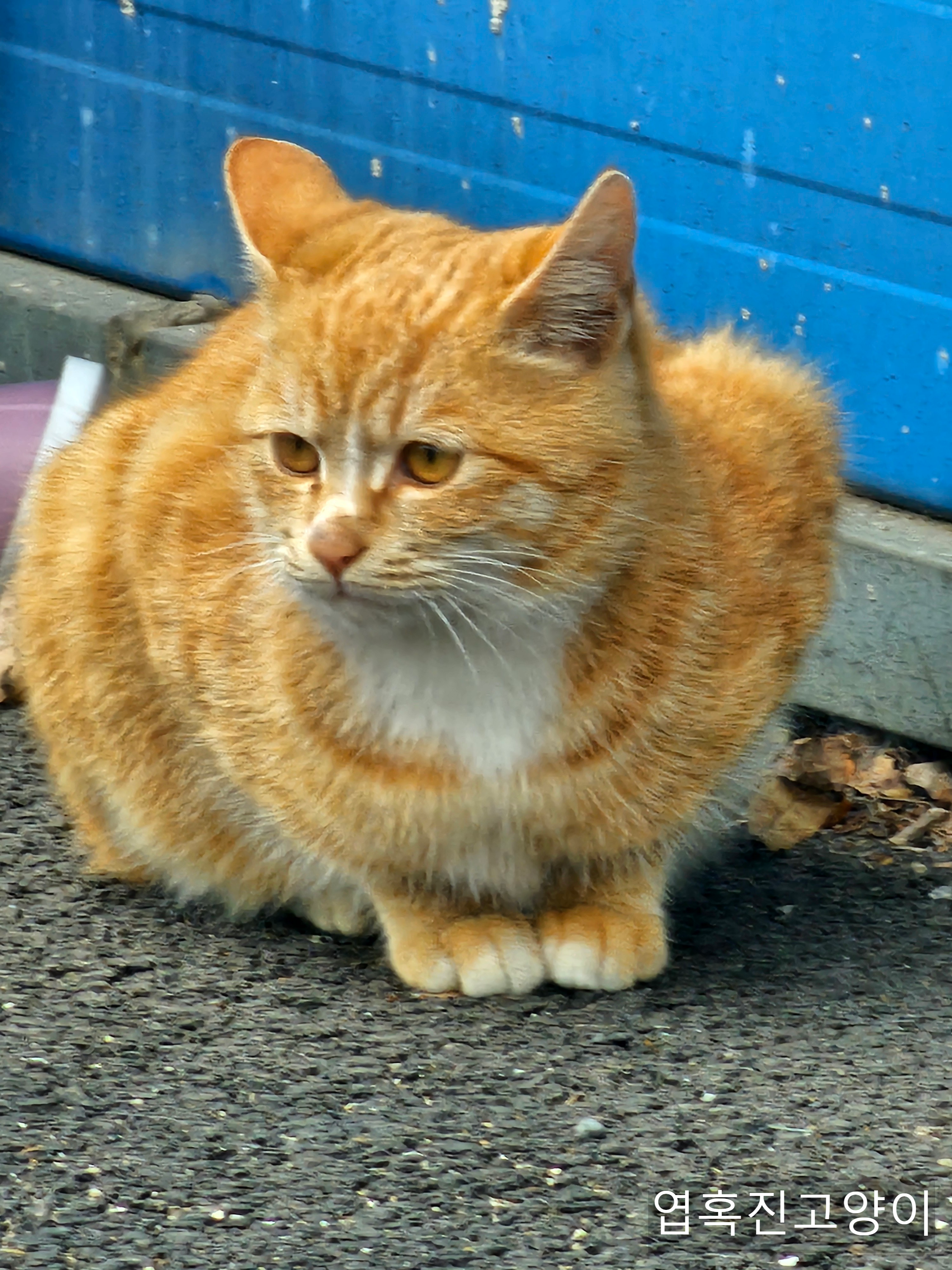 우리회사 복지자랑ㅎ | 인스티즈