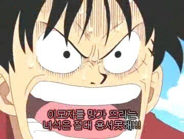 원피스) 팬들이 추측하는 루피 아내.JPG | 인스티즈