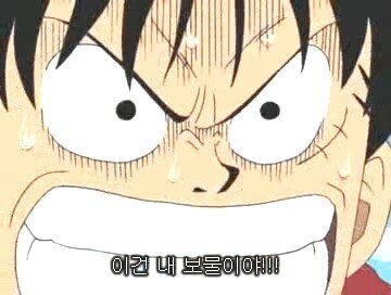 원피스) 팬들이 추측하는 루피 아내.JPG | 인스티즈