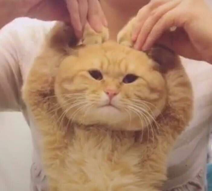 키멍 이미지