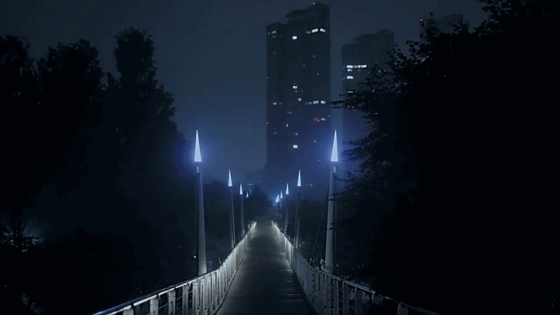 한 유튜버가 촬영하면서 정말 무서웠다는 새벽 2시 서울숲 풍경ㄷㄷ.gif | 인스티즈