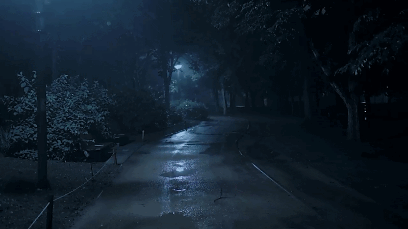 한 유튜버가 촬영하면서 정말 무서웠다는 새벽 2시 서울숲 풍경ㄷㄷ.gif | 인스티즈
