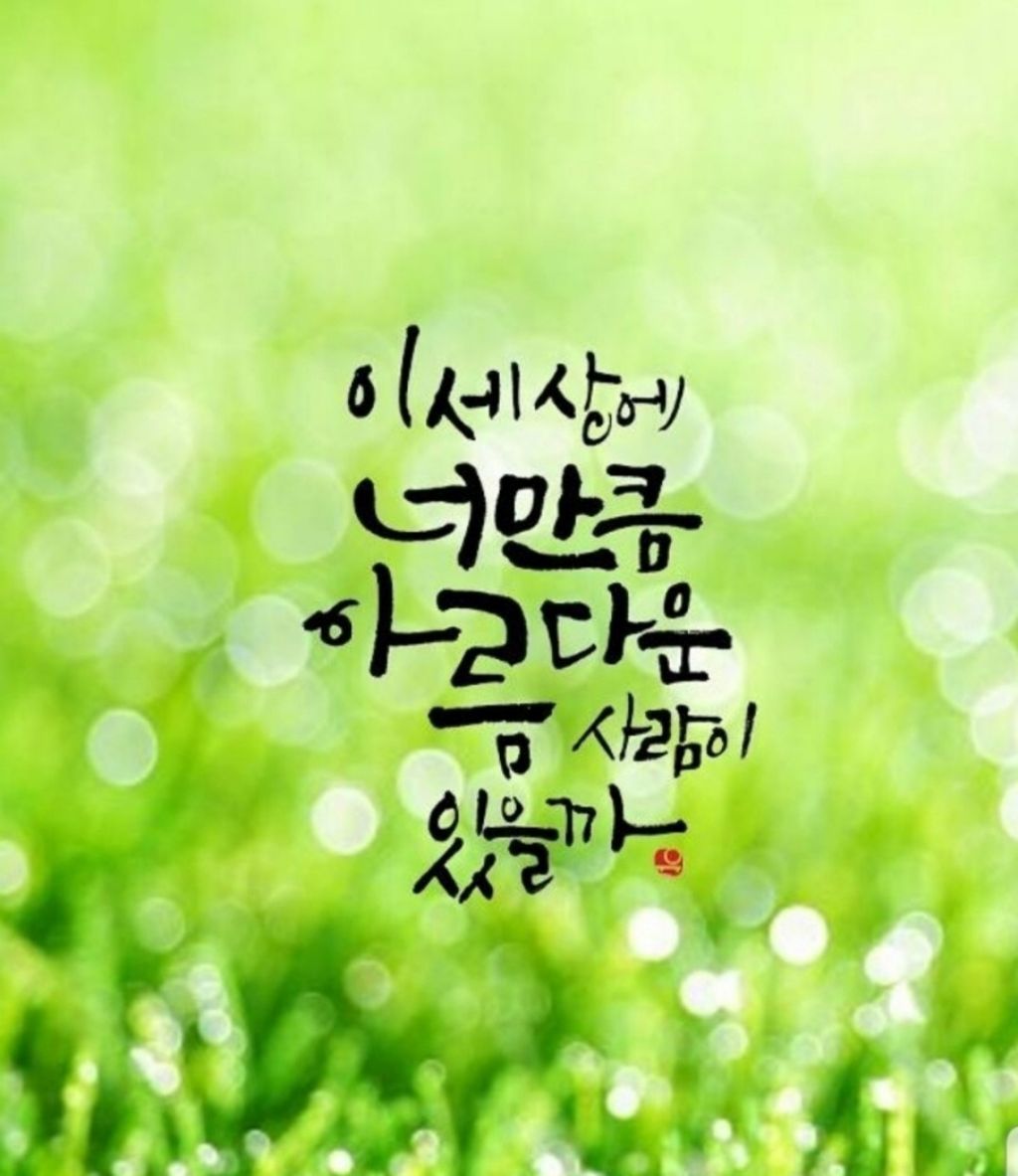 2023.06.30 아침인사~ - …… 알싸사진방 - 아이러브사커