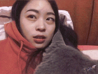 입냄새 용서하지 않는 고양이.gif | 인스티즈