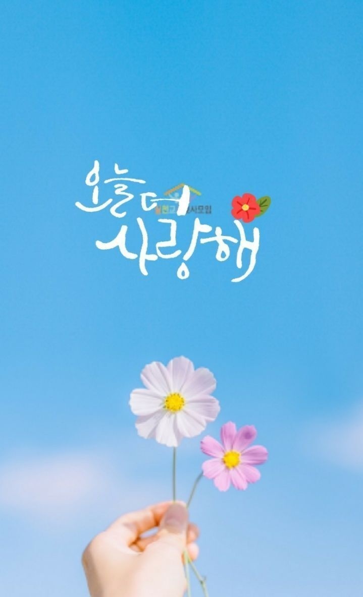 2022.10.11 아침인사~ - …… 알싸사진방 - 아이러브사커