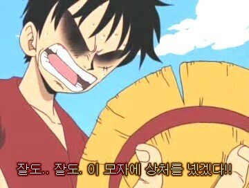 원피스) 팬들이 추측하는 루피 아내.JPG | 인스티즈