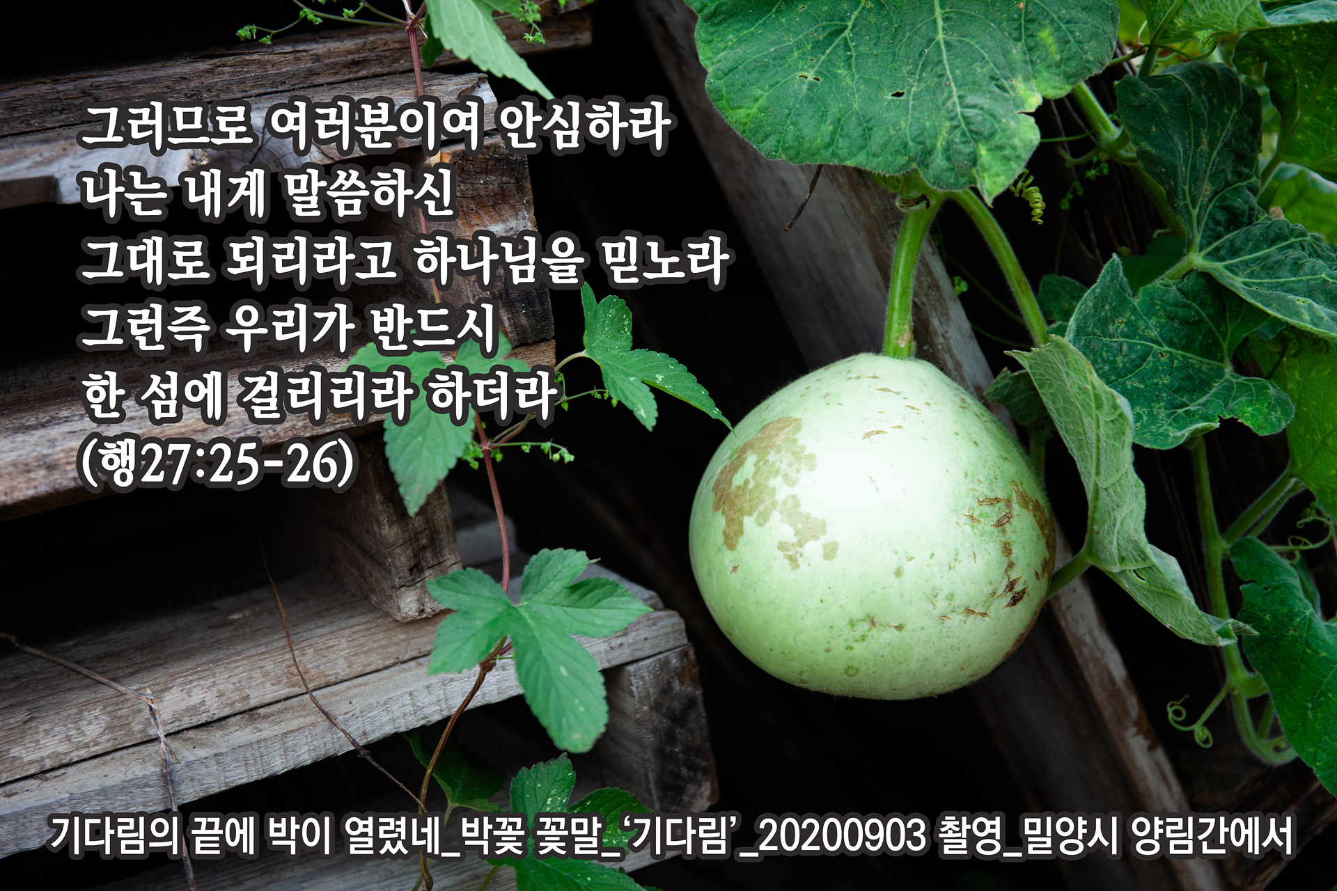 나! 박이야 이미지