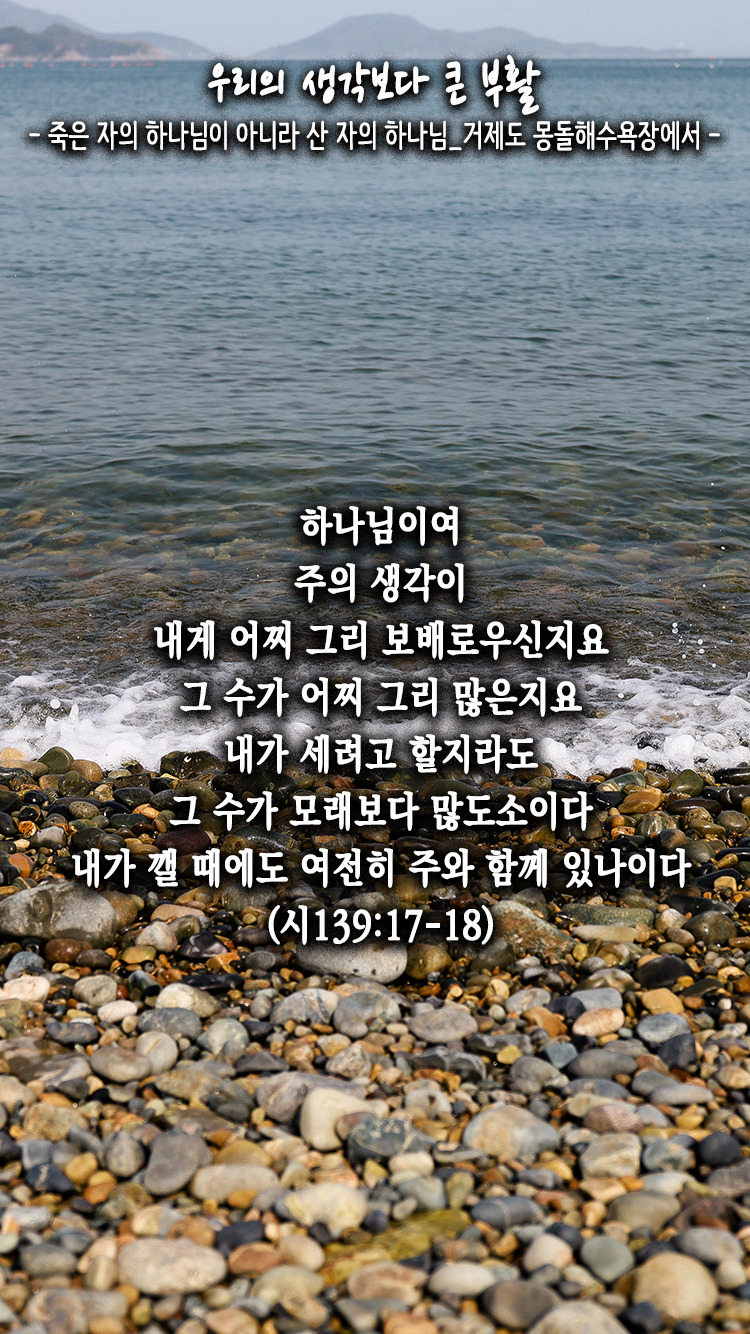 (자)두**수 이미지