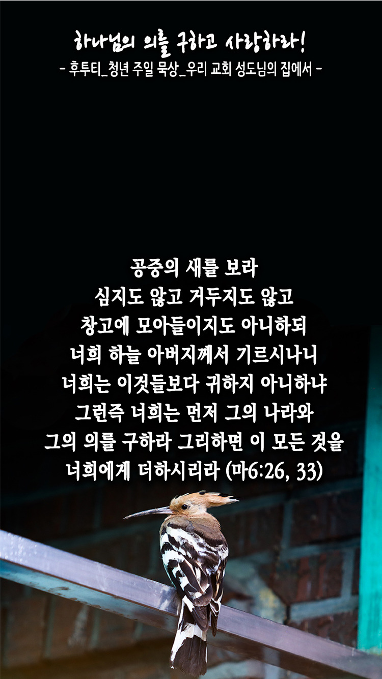 복음창고 이미지
