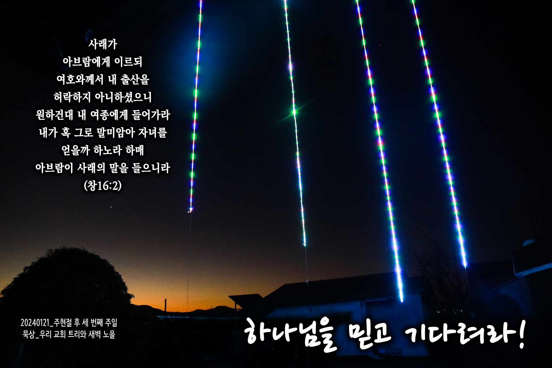 세트리다 이미지