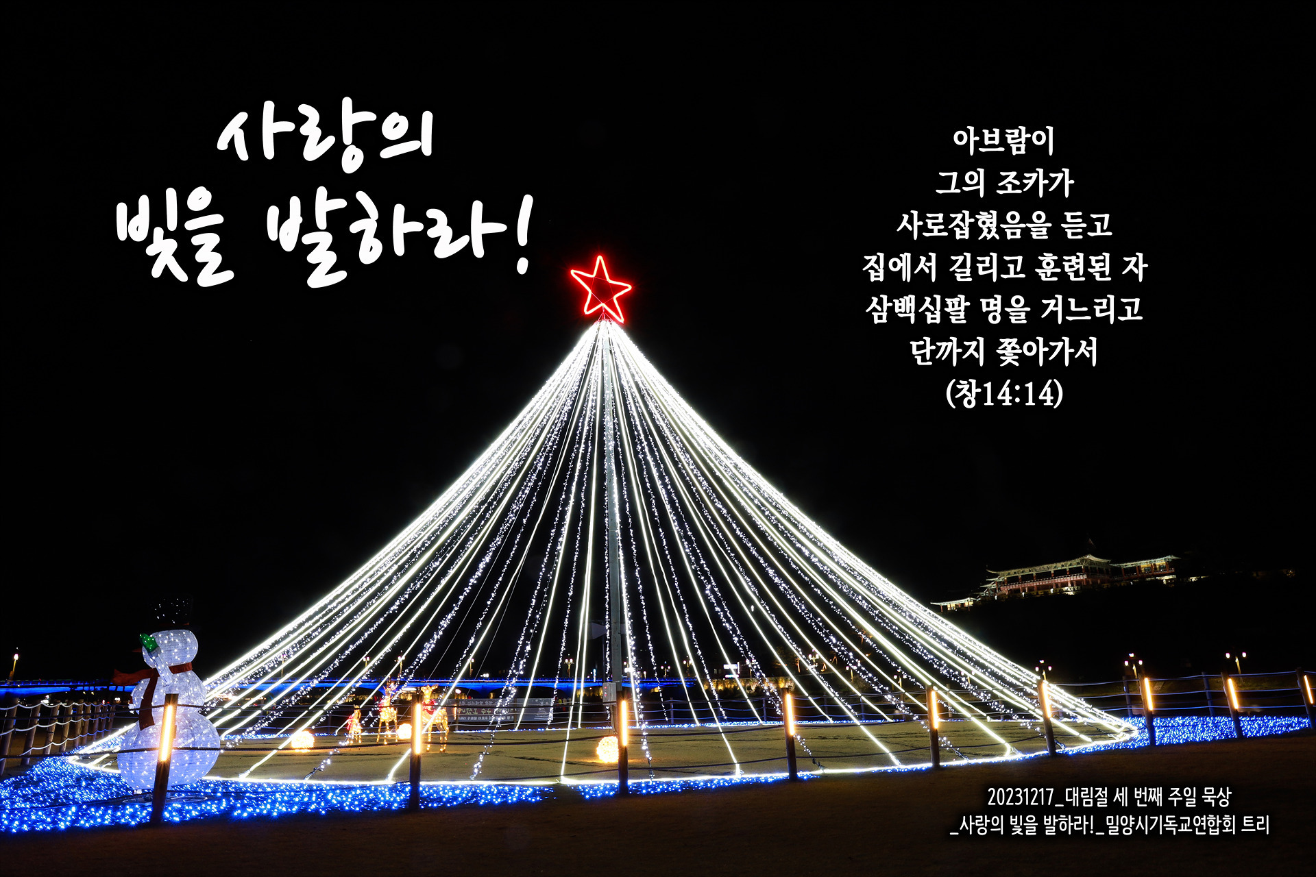 세트리다 이미지