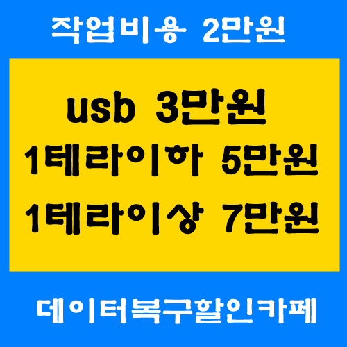 usb데이터복구 - usb데이터복구/sd카드/외장하드복구/저렴한가격으로 가능한곳 sd카드복구 포맷에러 블랙박스 영상파일 usb 윈도우 덮어쓰기... 