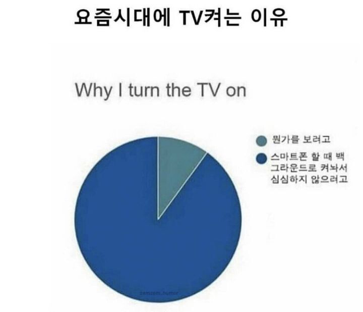 시대티브이 이미지