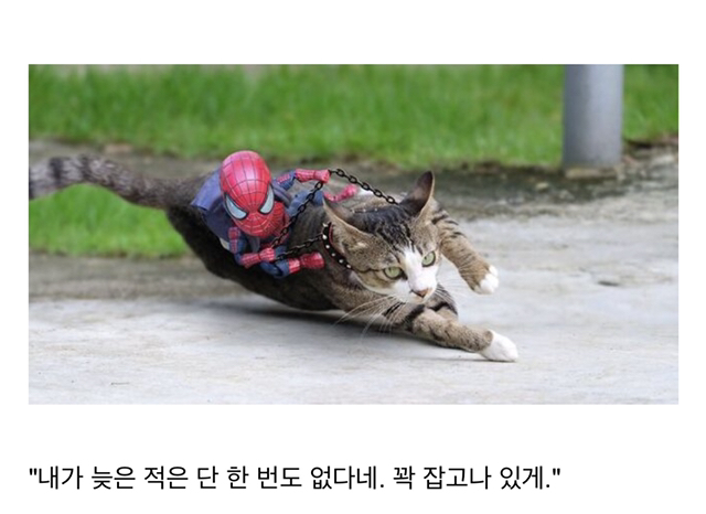 오후다섯시 이미지