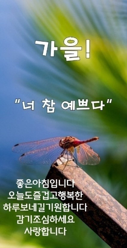 너참예쁘다 이미지