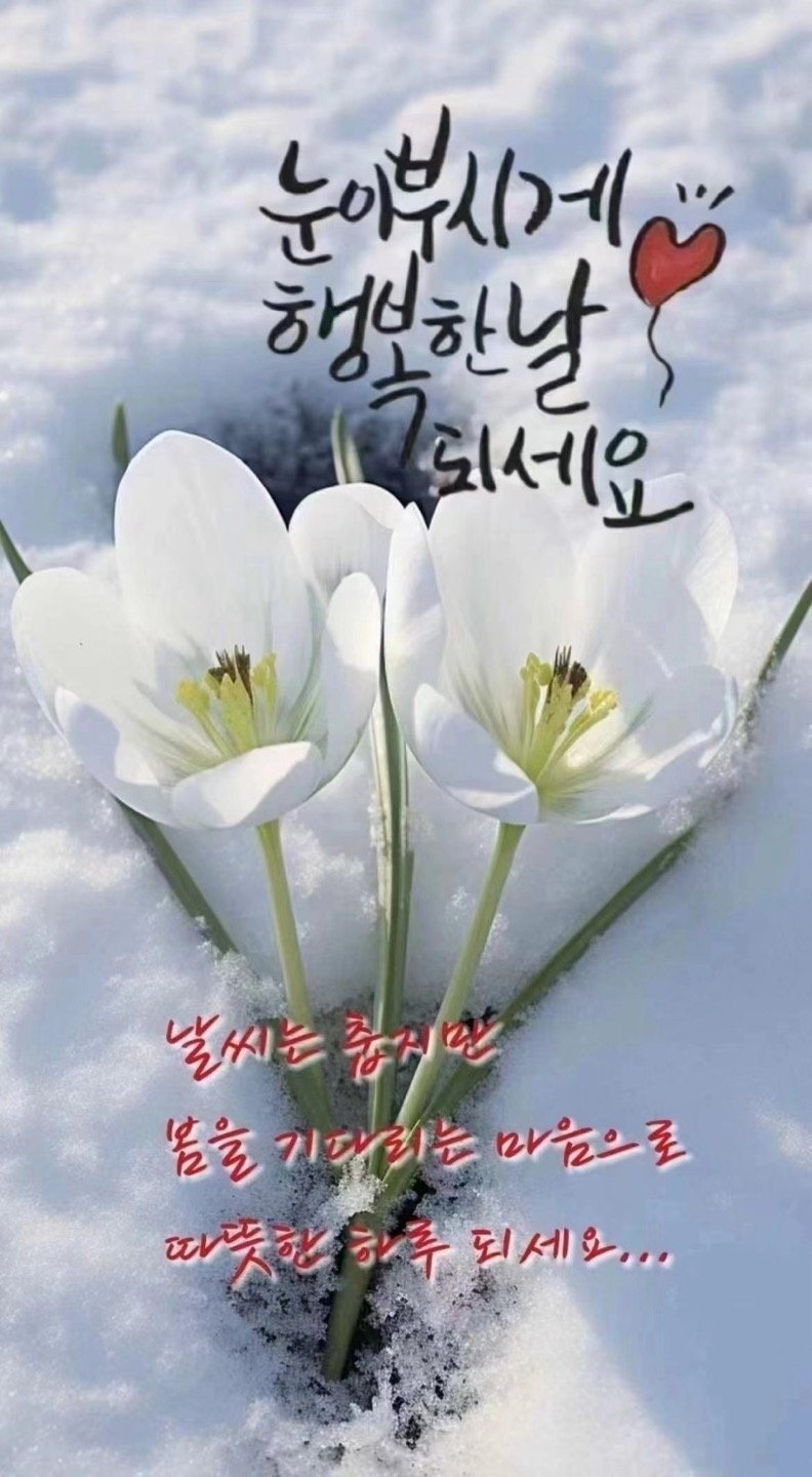 행복한날 이미지