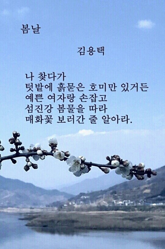 봄날처럼 이미지