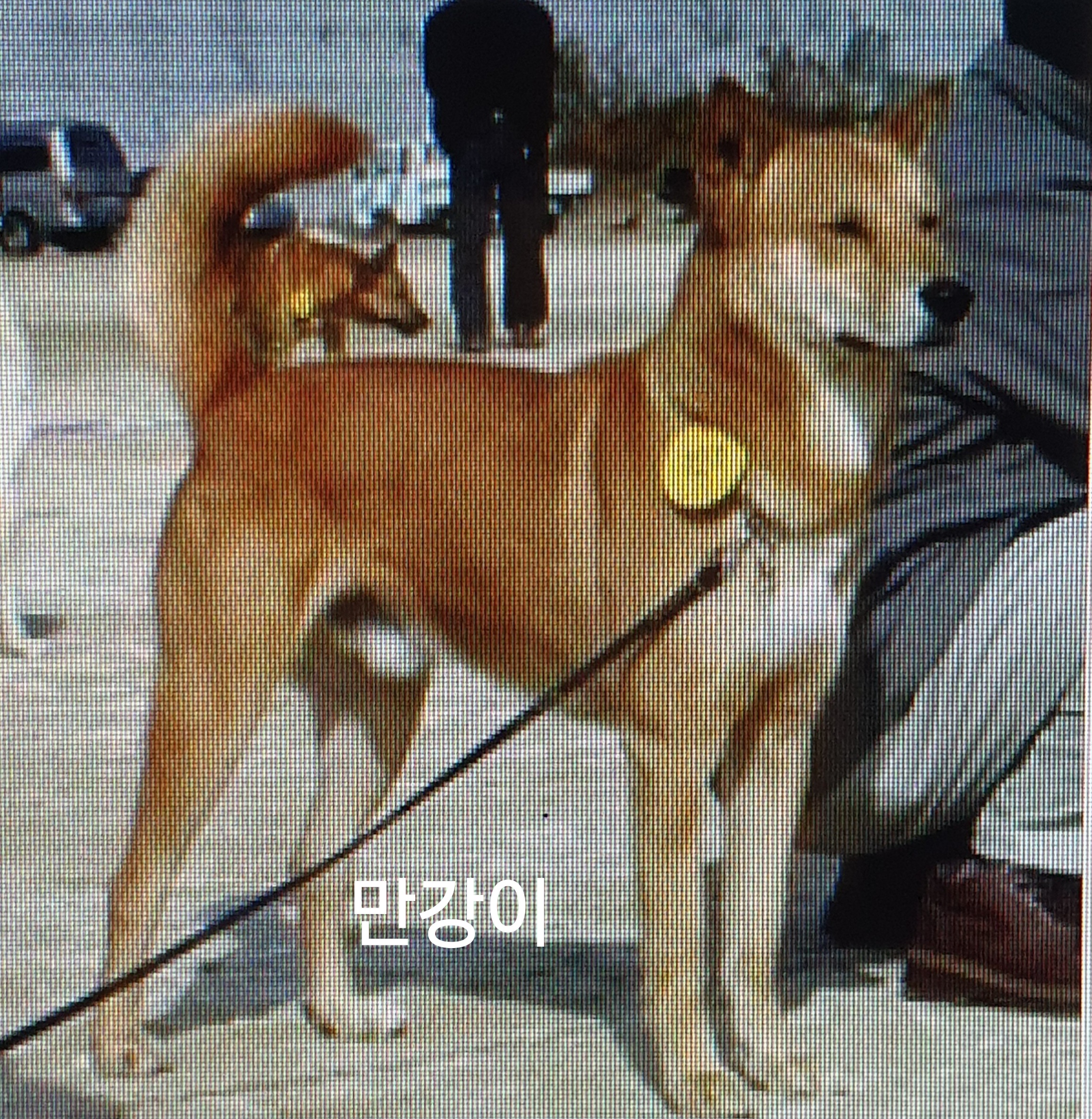만강 이미지