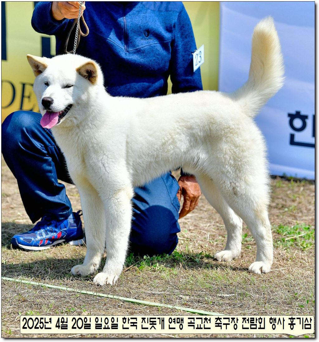 부광 이미지