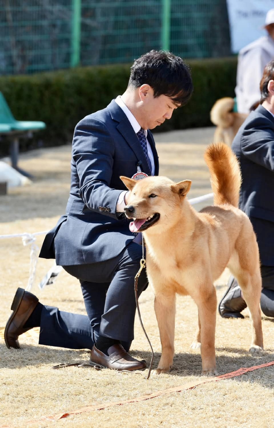 두치 이미지