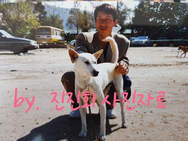 백구 이미지