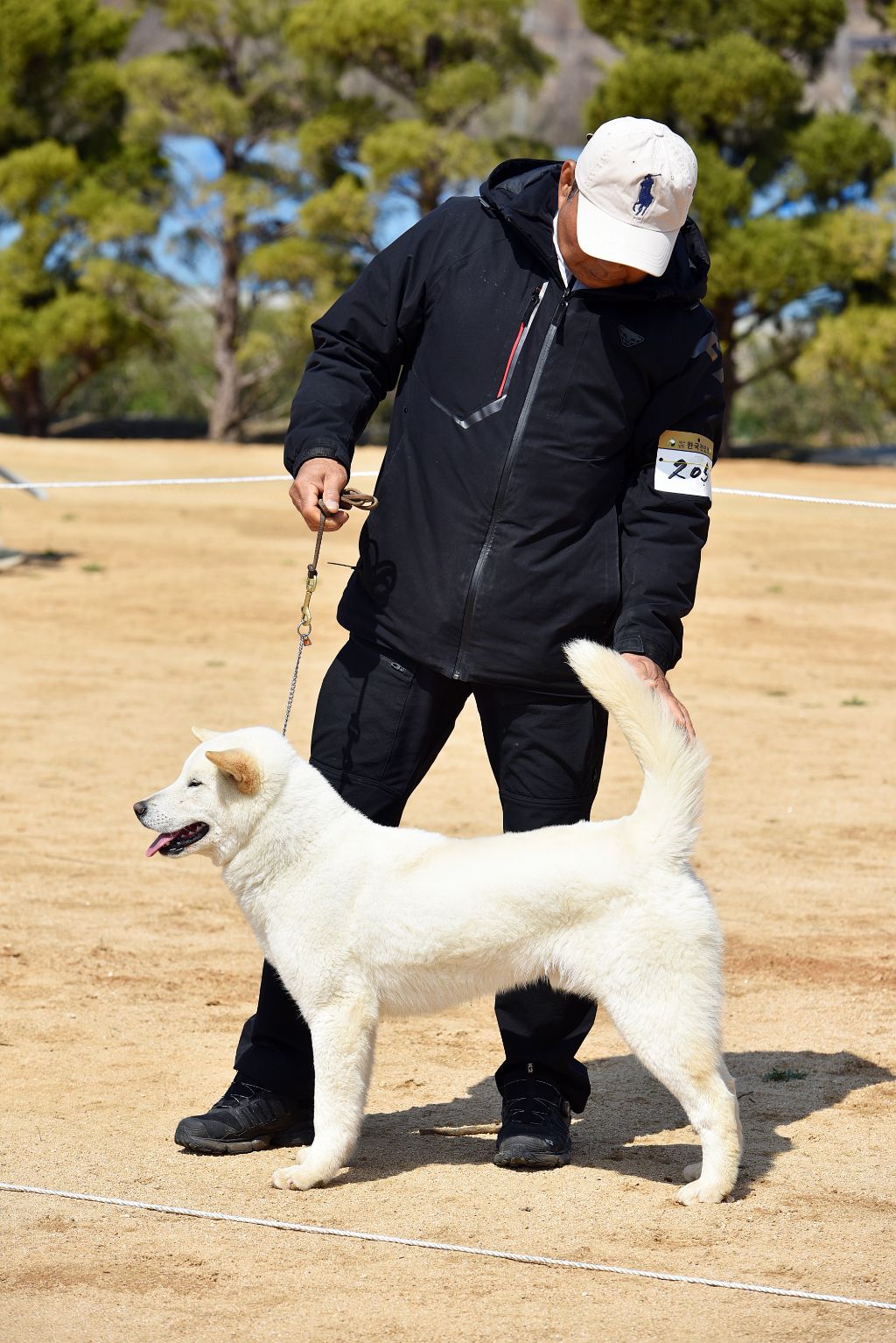 부광 이미지