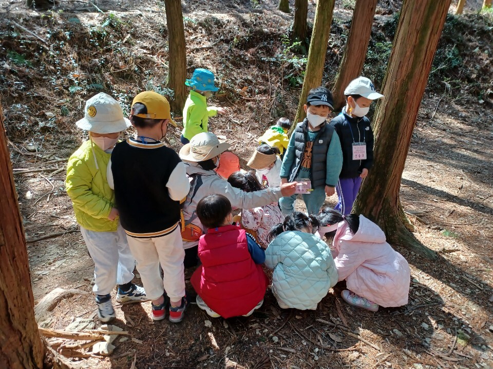 4월 첫째주 유치1-2(비노리반) - ♤ 무등산숲학교 - (사)숲해설가광주전남협회 (사)숲해설가광주전남협회