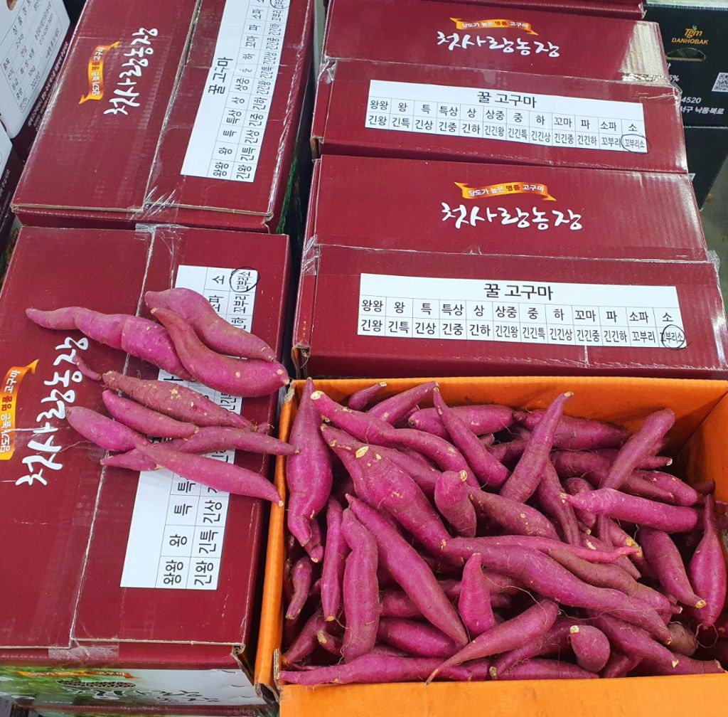 꼬불이네 이미지