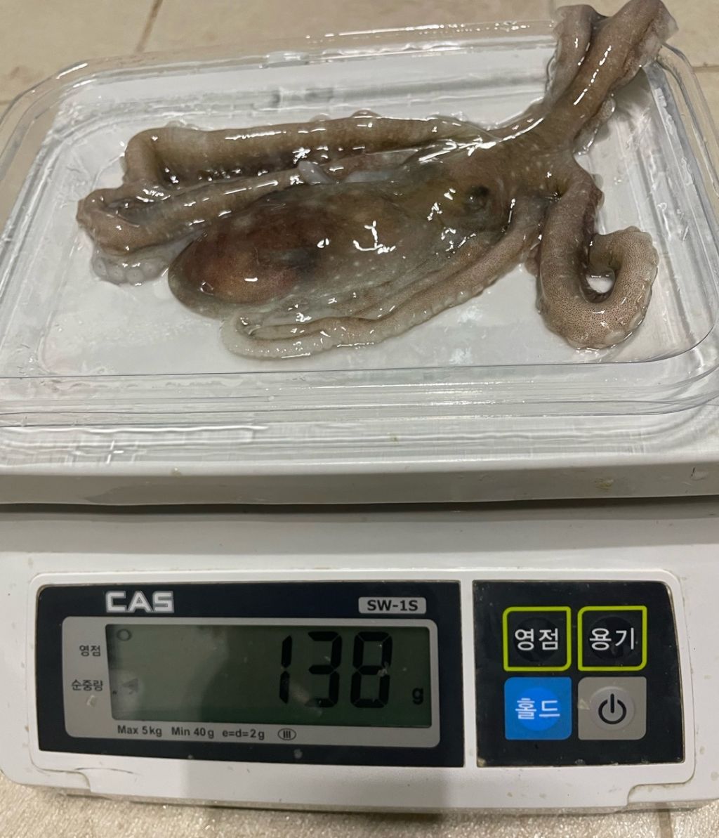 장흥낙지 이미지