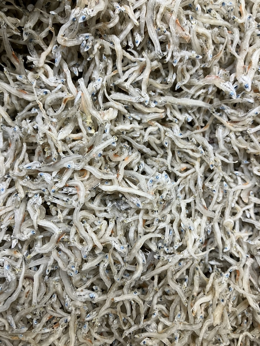 고바이제이 이미지