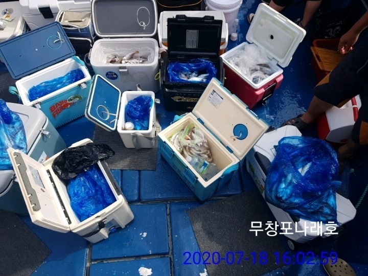 신나래 이미지